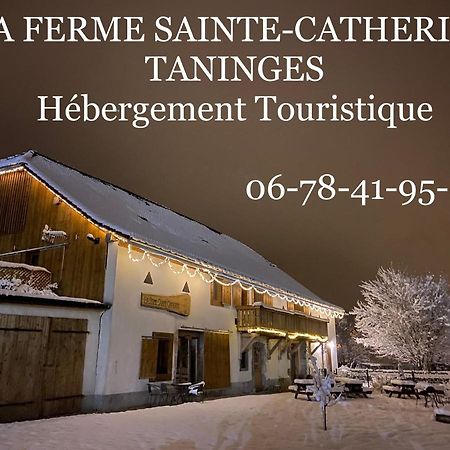 Вилла La Ferme Sainte Catherine Танэнж Экстерьер фото